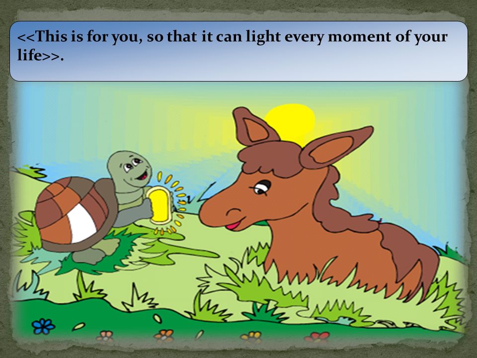 In the morning, the turtle calls the donkey and says: << Thanks dear friend and you always will be in my heart.