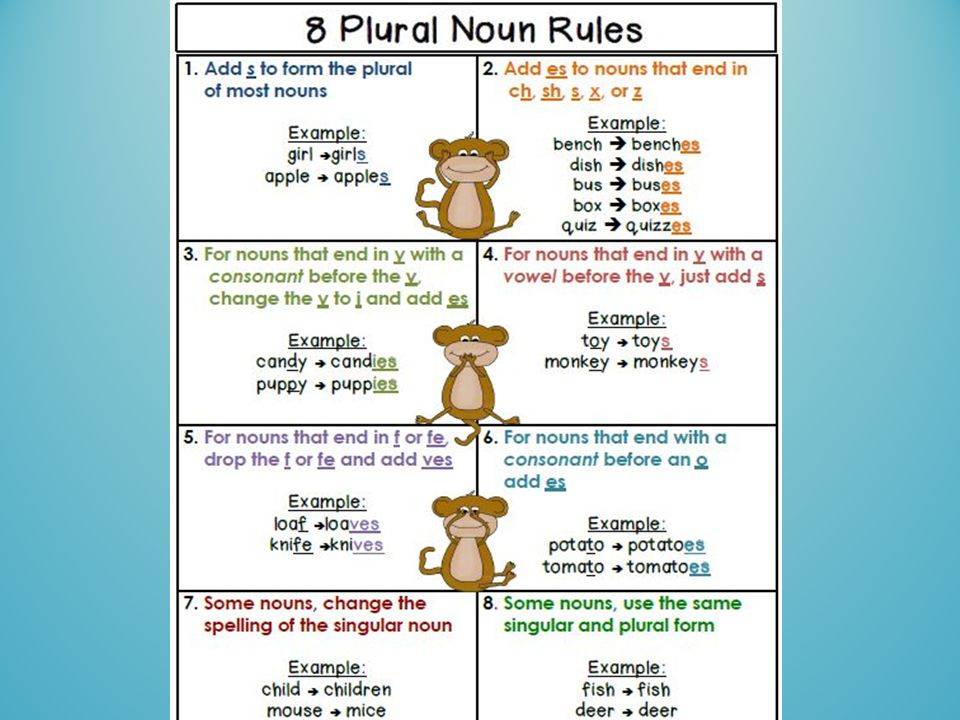 Dish plural. Plurals правила. Plurals правило. Plural Nouns правило. Plural Nouns Rules.