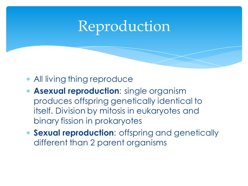 Chapter 19: Inherited Change. All living thing reproduce Asexual ...