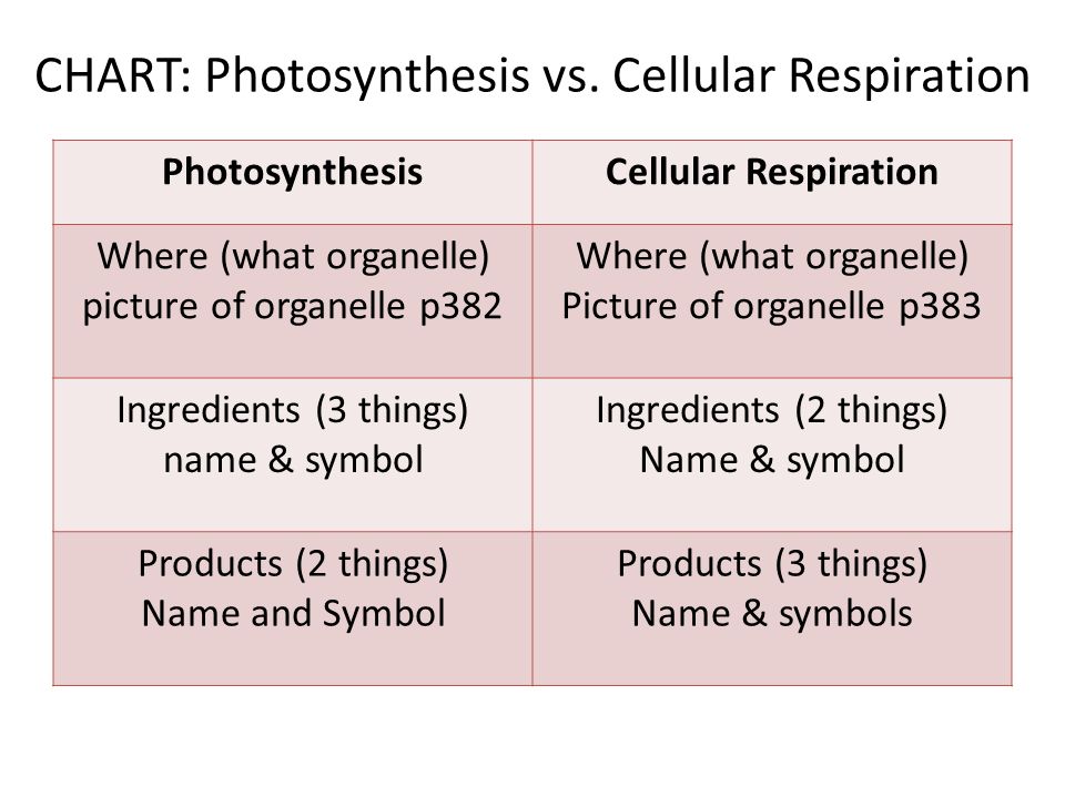 Photosynthesis Vs Cellular Respiration Chart