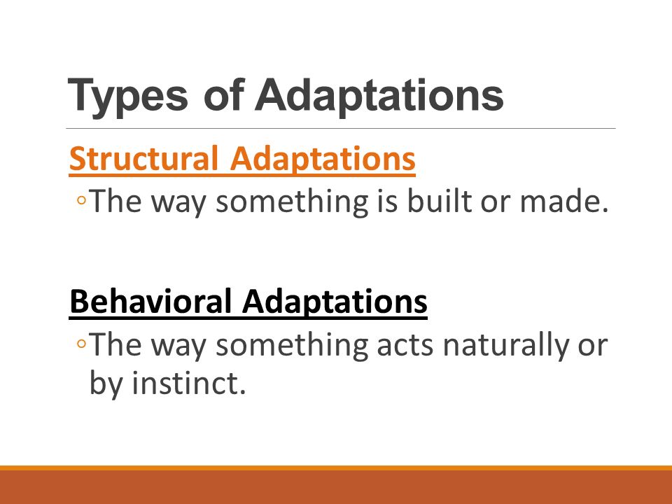 Types of Adaptations Structural Adaptations ◦The way something is built or made.