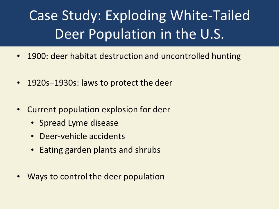 Case Study: Exploding White-Tailed Deer Population in the U.S.