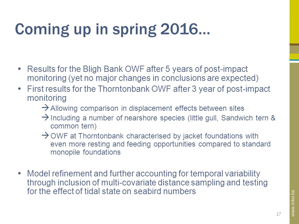 Coming up in spring 2016… 17 Results for the Bligh Bank OWF after 5 years of post-impact monitoring (yet no major changes in conclusions are expected) First results for the Thorntonbank OWF after 3 year of post-impact monitoring  Allowing comparison in displacement effects between sites  Including a number of nearshore species (little gull, Sandwich tern & common tern)  OWF at Thorntonbank characterised by jacket foundations with even more resting and feeding opportunities compared to standard monopile foundations Model refinement and further accounting for temporal variability through inclusion of multi-covariate distance sampling and testing for the effect of tidal state on seabird numbers
