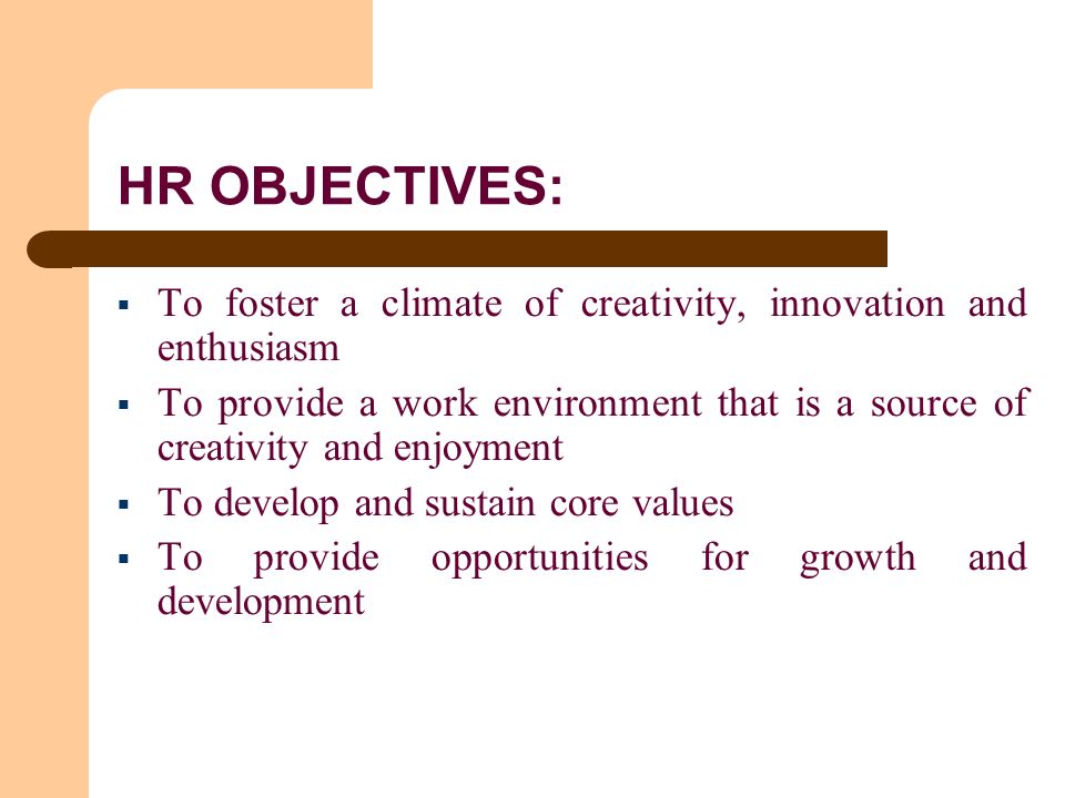 HR OBJECTIVES:  To foster a climate of creativity, innovation and enthusiasm  To provide a work environment that is a source of creativity and enjoyment  To develop and sustain core values  To provide opportunities for growth and development