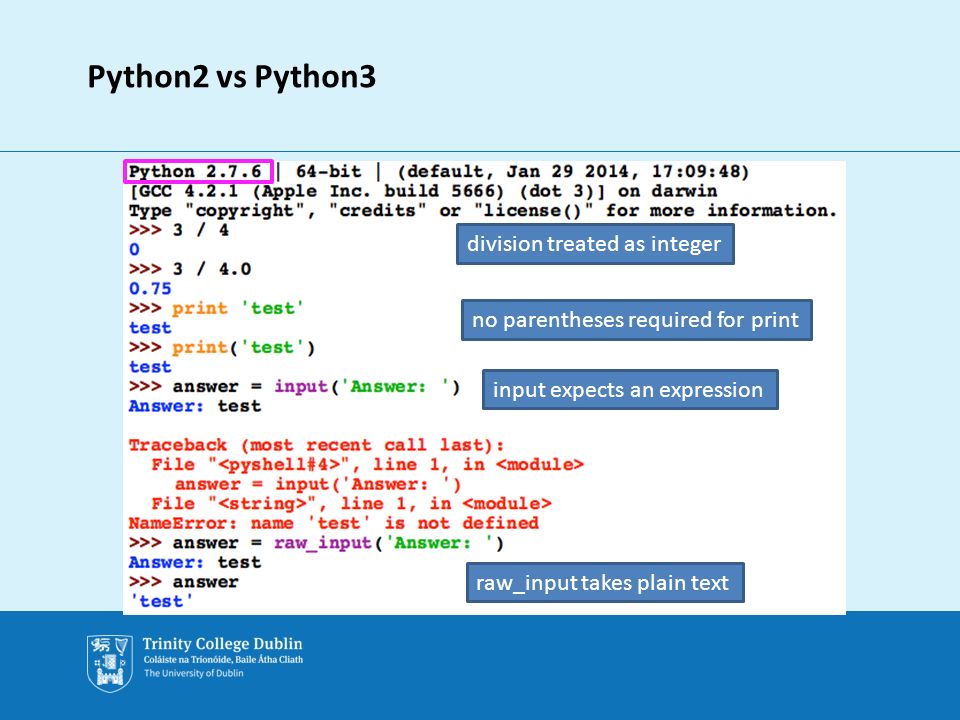 Python print input