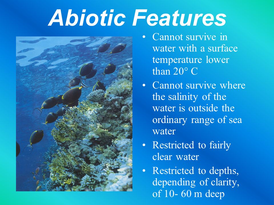 Abiotic Features Cannot survive in water with a surface temperature lower than 20° C Cannot survive where the salinity of the water is outside the ordinary range of sea water Restricted to fairly clear water Restricted to depths, depending of clarity, of m deep