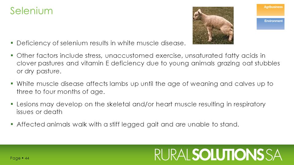 livestock health and soil nutrition tiffany bennett livestock white muscle disease