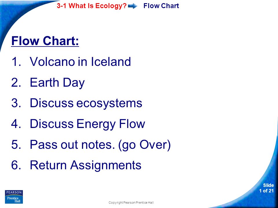 Ecosystem Energy Flow Chart