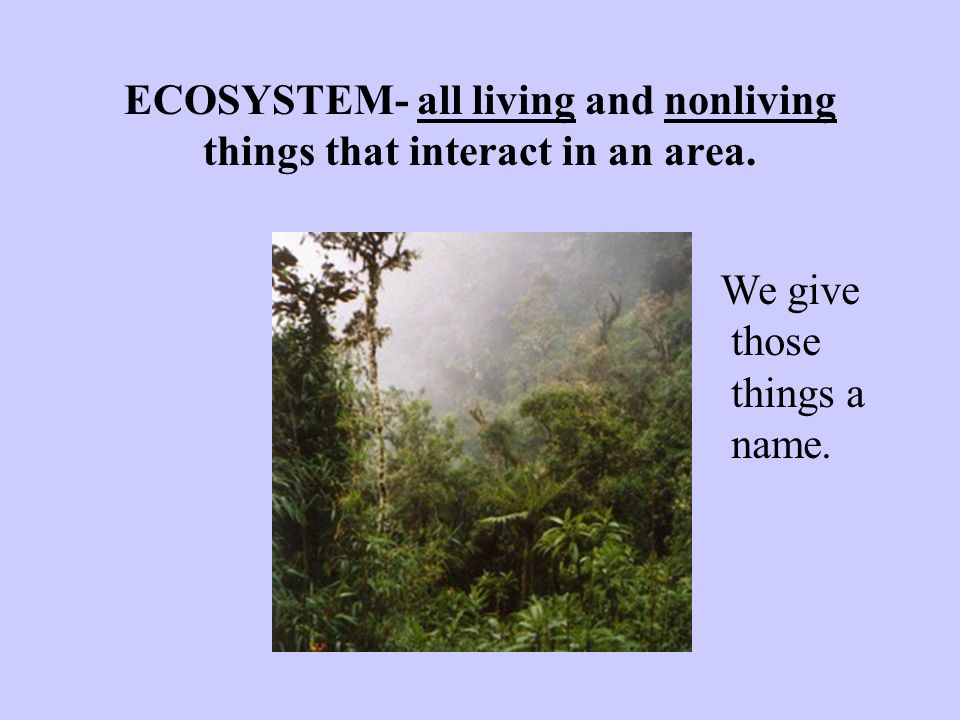 ECOSYSTEM- all living and nonliving things that interact in an area. We give those things a name.