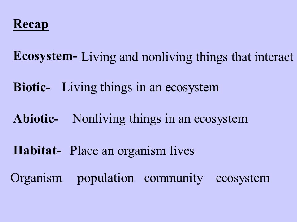 Recap Ecosystem- Biotic- Abiotic- Habitat- Living and nonliving things that interact Living things in an ecosystem Place an organism lives Nonliving things in an ecosystem Organismpopulationcommunityecosystem