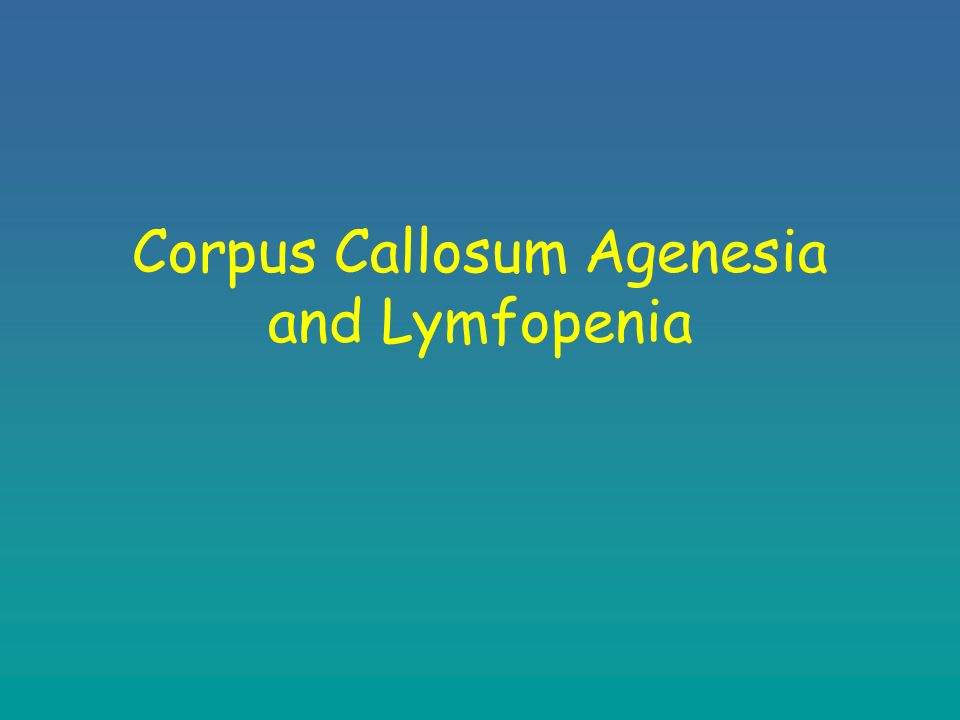 agenesia corpus callosum definition