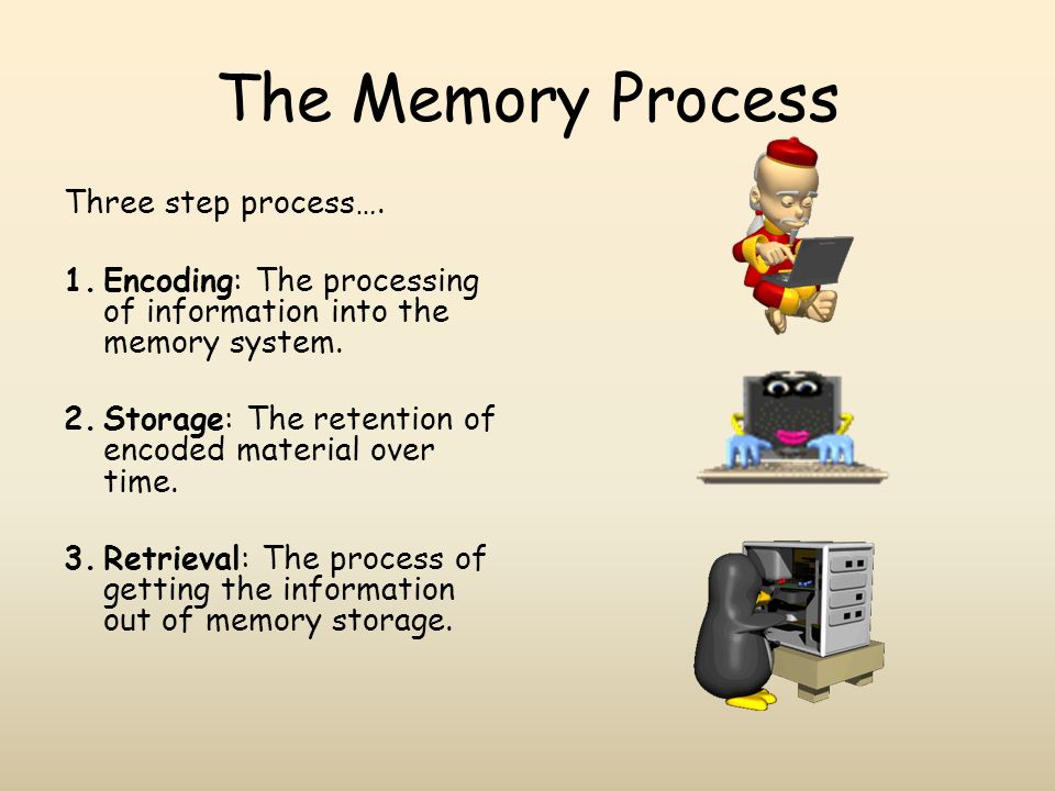 memory encoding storage retrieval