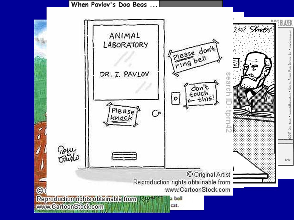 Memory And Learning Learning The Long Term Change In