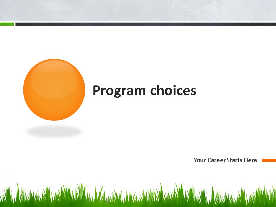 Program choices Your Career Starts Here