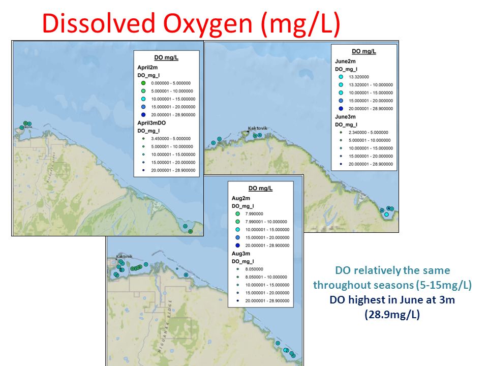 Scope of Project Coastal estuaries – highly productive – dependent on ...