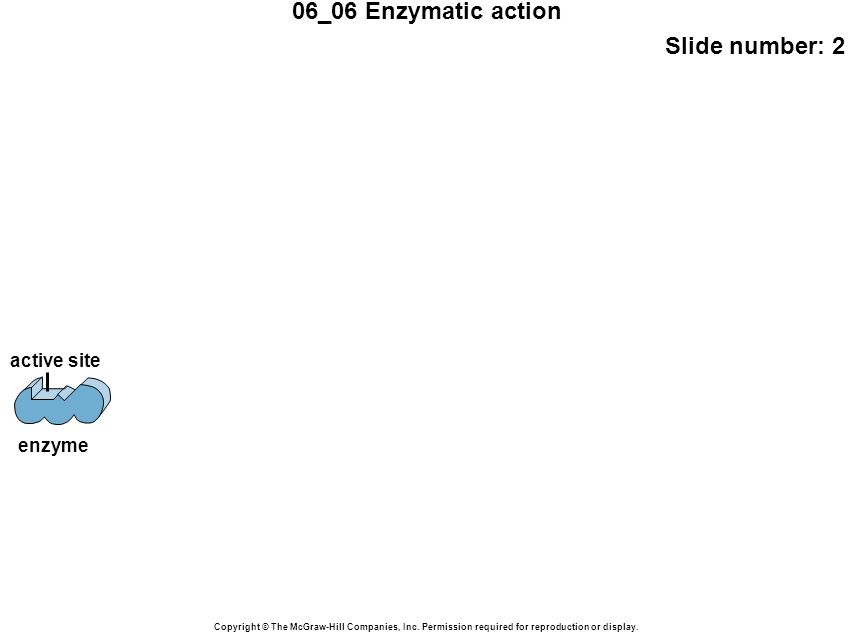 06_06 Enzymatic action Slide number: 2 Copyright © The McGraw-Hill Companies, Inc.