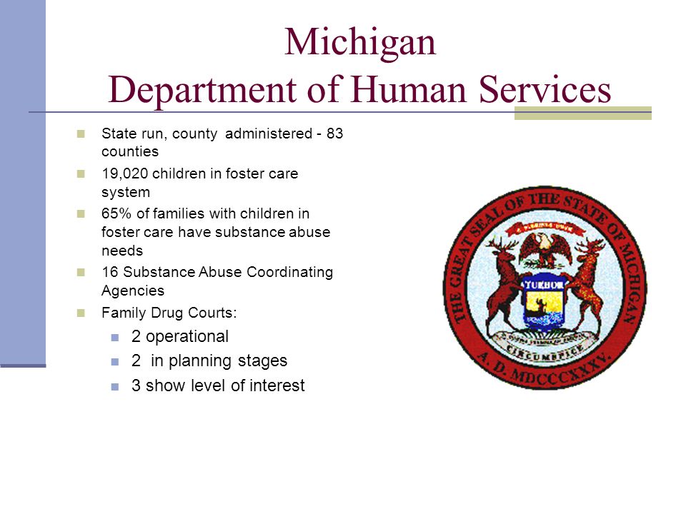 Michigan Department of Human Services State run, county administered - 83 counties 19,020 children in foster care system 65% of families with children in foster care have substance abuse needs 16 Substance Abuse Coordinating Agencies Family Drug Courts: 2 operational 2 in planning stages 3 show level of interest