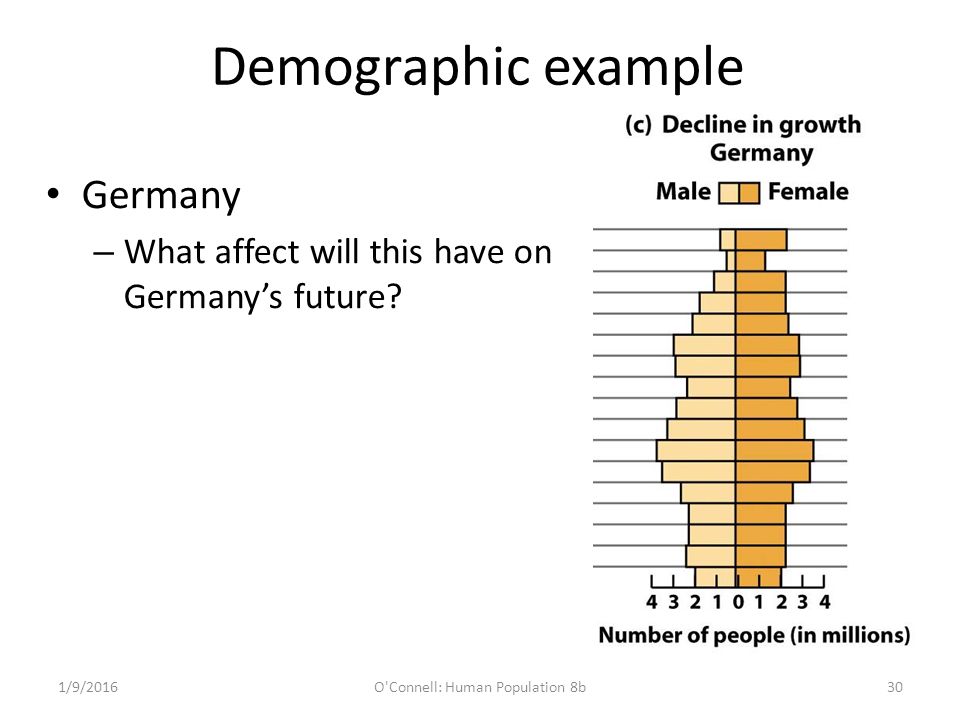 Demographic example Germany – What affect will this have on Germany’s future.