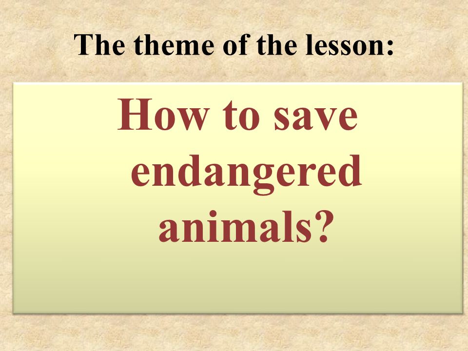 The theme of the lesson: How to save endangered animals? - ppt download