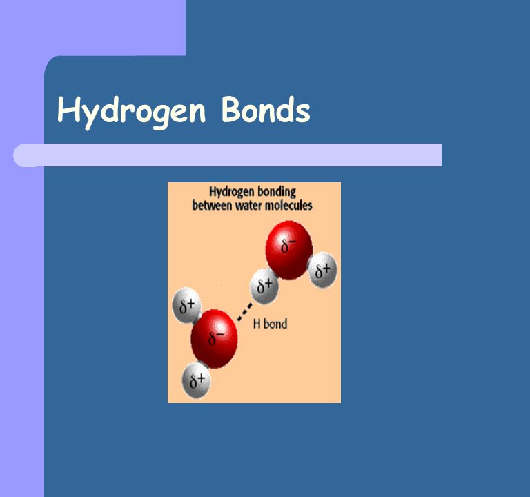 Molecules Molecules in action Part II. Hydrogen Bonds. - ppt download