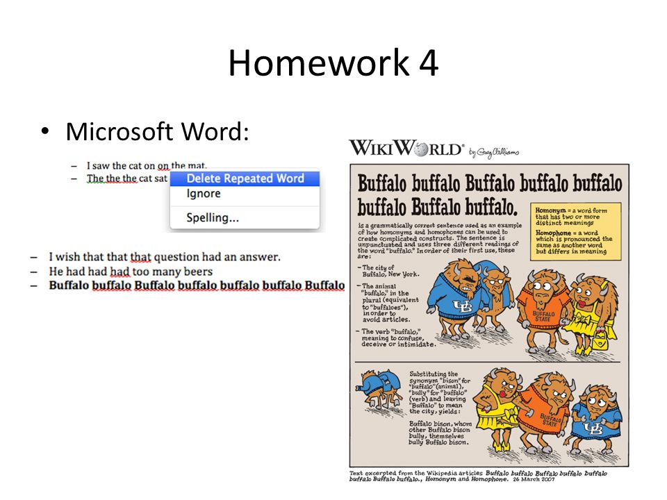 essay rules of writing teachers