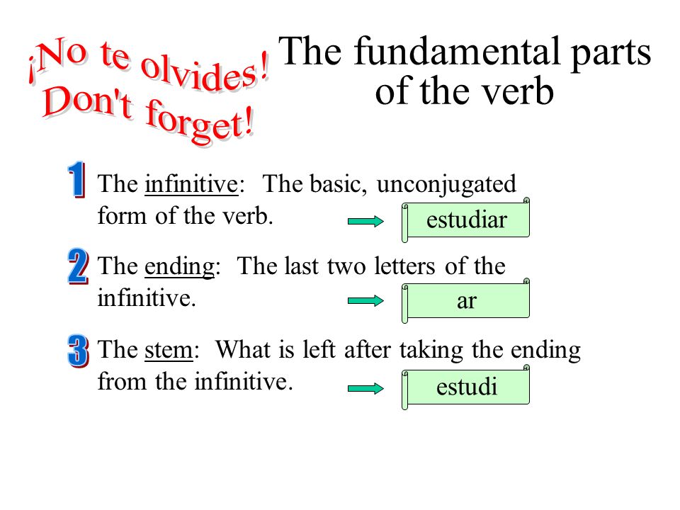 Forms of the verb the infinitive. Slide verb.