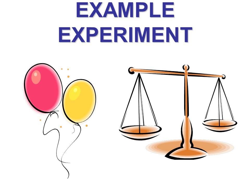 EXAMPLE EXPERIMENT