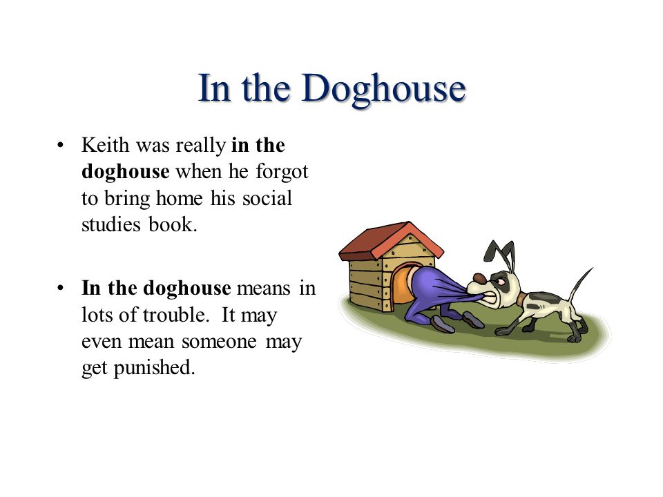 Dogs am big перевод. Идиома in the Dog House. In the Doghouse идиома. Английские идиомы про собак. Doghouse перевод.