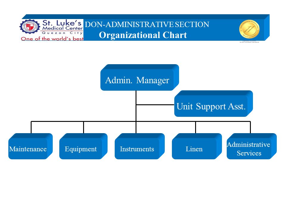 Organizational Chart Of St Luke S Medical Center Quezon City