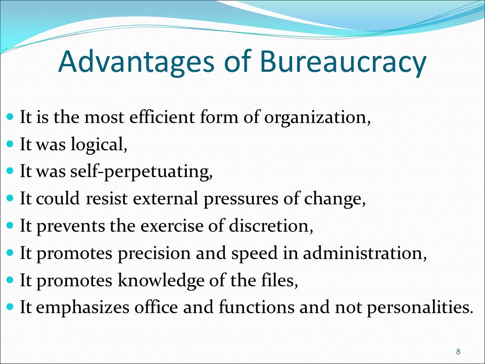 advantages of bureaucracy