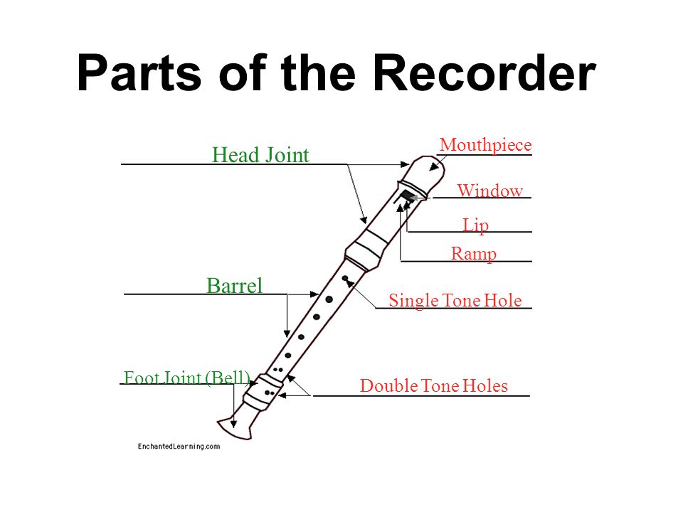 Introduction to the RECORDER Miss Beard Leonardtown Elementary School Grade  ppt download