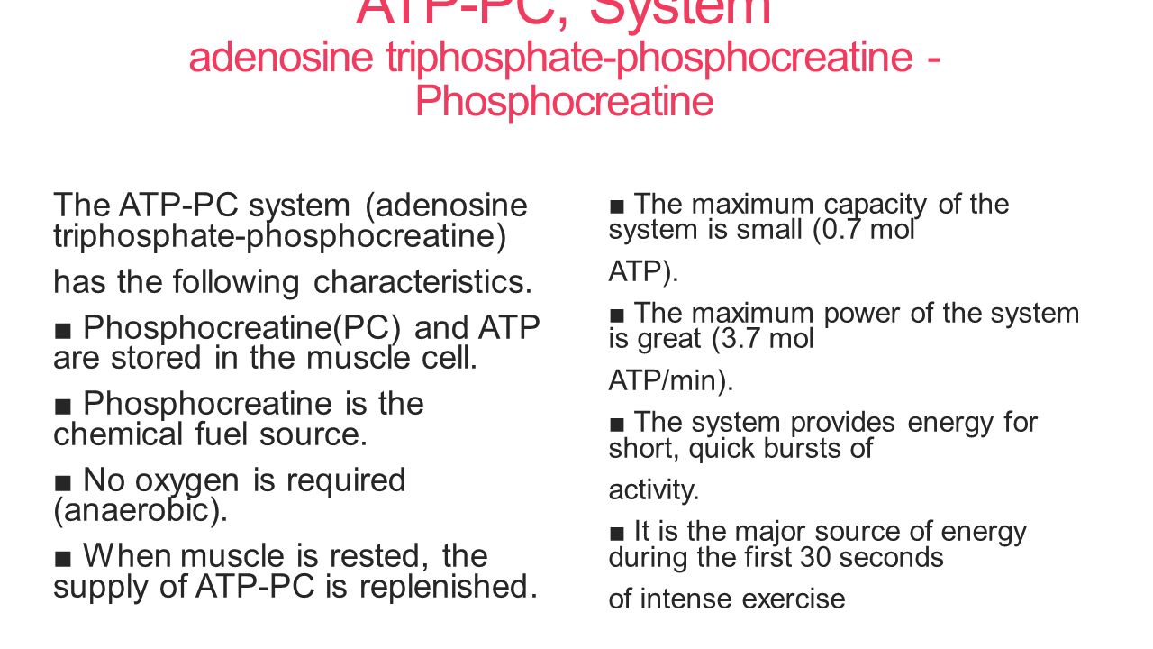 What is fitness: the main features, objectives and focus of training programs 65 What is fitness: the main features, objectives and focus of training programs 24