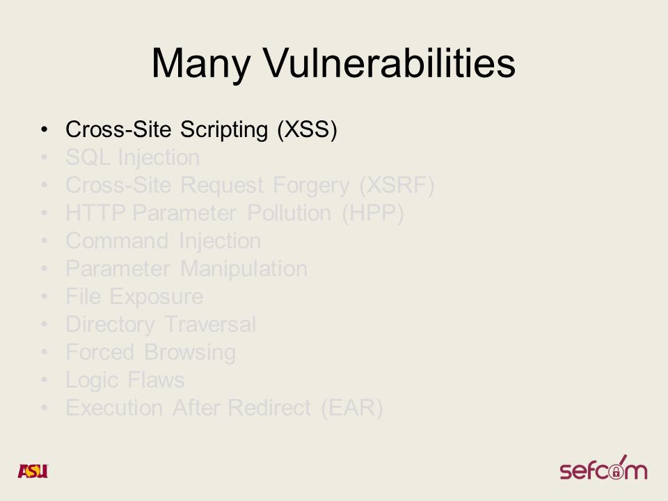 Many Vulnerabilities Cross-Site Scripting (XSS) SQL Injection Cross-Site Request Forgery (XSRF) HTTP Parameter Pollution (HPP) Command Injection Parameter Manipulation File Exposure Directory Traversal Forced Browsing Logic Flaws Execution After Redirect (EAR)