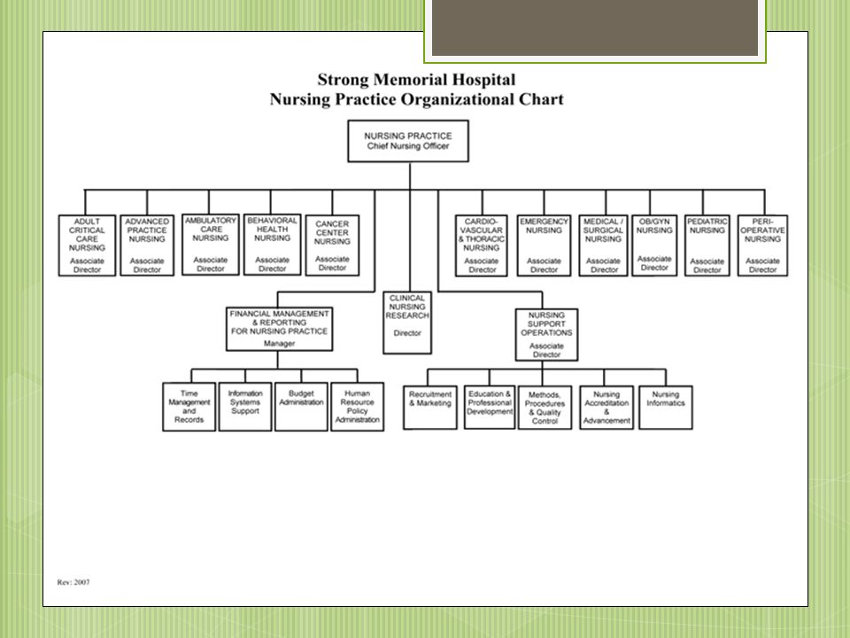 Organizational Chart For A Healthcare Facility