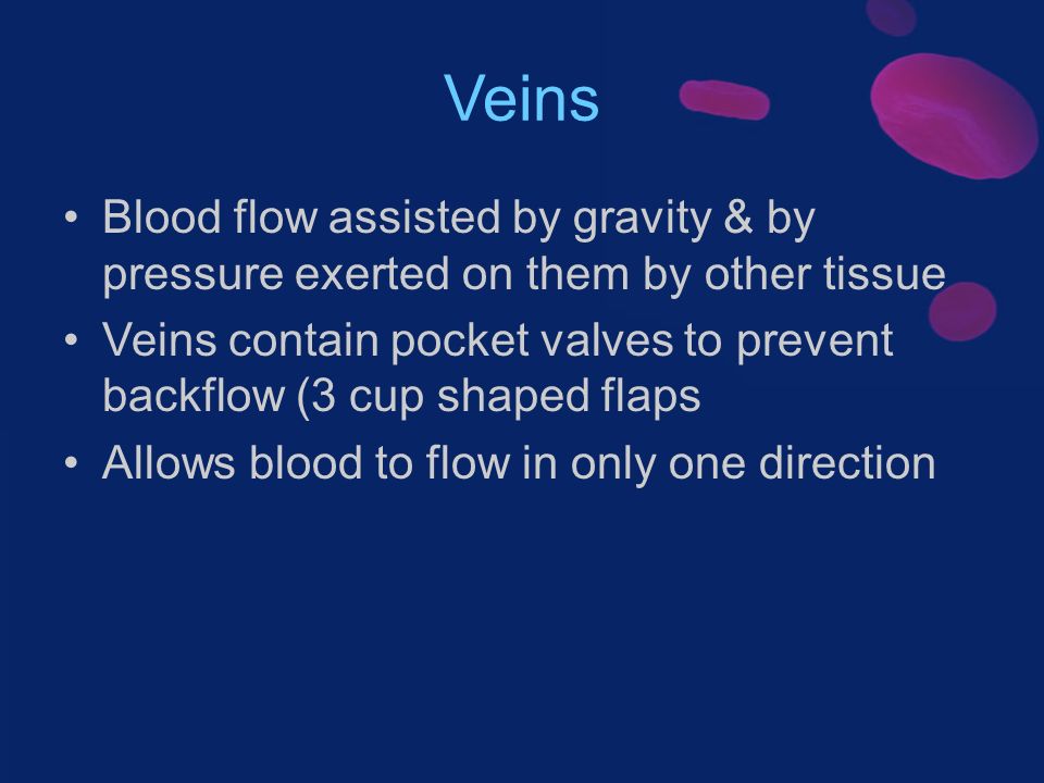 Veins Blood flow assisted by gravity & by pressure exerted on them by other tissue Veins contain pocket valves to prevent backflow (3 cup shaped flaps Allows blood to flow in only one direction