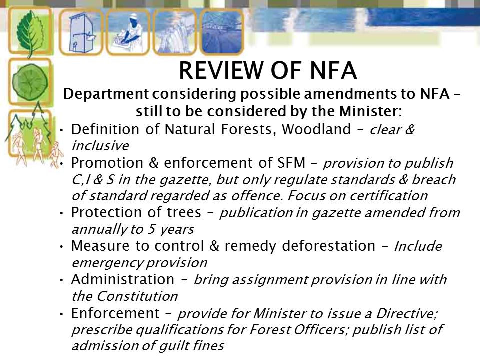 REVIEW OF NFA Department considering possible amendments to NFA – still to be considered by the Minister: Definition of Natural Forests, Woodland – clear & inclusive Promotion & enforcement of SFM – provision to publish C,I & S in the gazette, but only regulate standards & breach of standard regarded as offence.