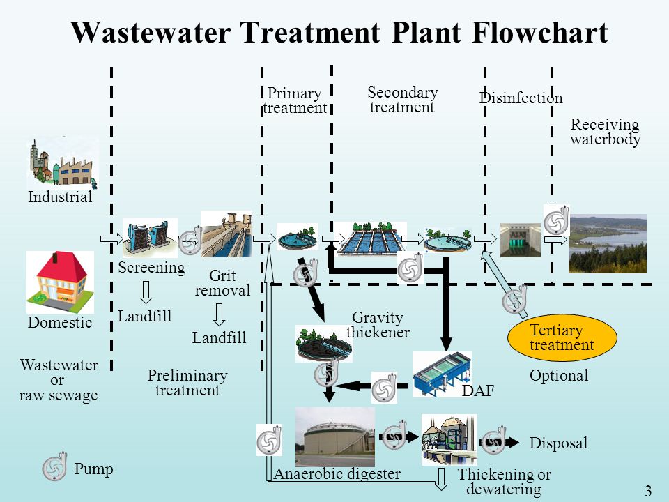 Schematic Of A Typical Sewage Treatment Plant