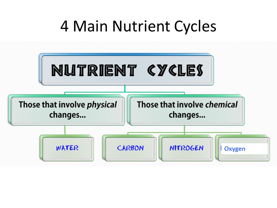 4 Main Nutrient Cycles Oxygen