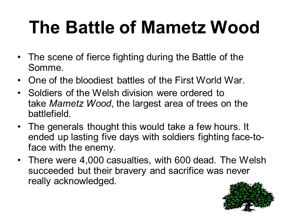 The Battle of Mametz Wood The scene of fierce fighting during the Battle of the Somme.