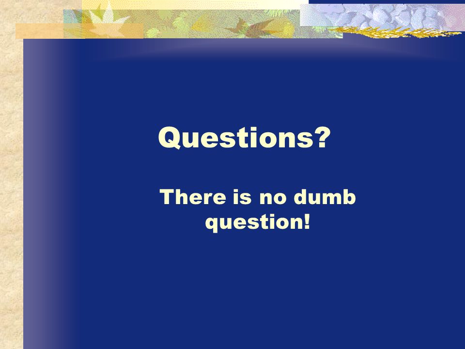 Questions There is no dumb question!