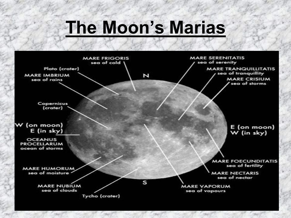 Maria s moon