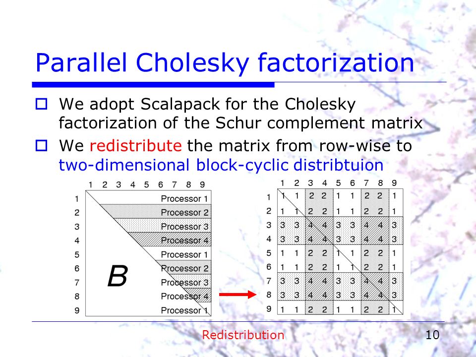 10 Parallel Cholesky factorization  We adopt Scalapack for the Cholesky factorization of the Schur complement matrix  We redistribute the matrix from row-wise to two-dimensional block-cyclic distribtuion Redistribution