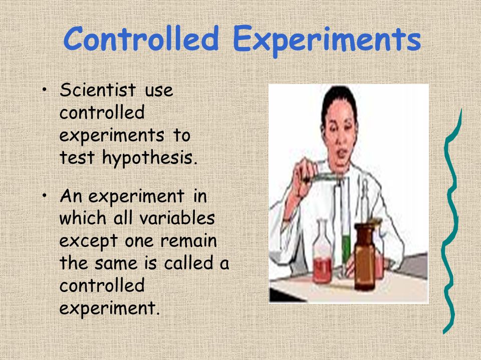 The next step scientists take is to create and conduct an experiment to test their hypothesis.