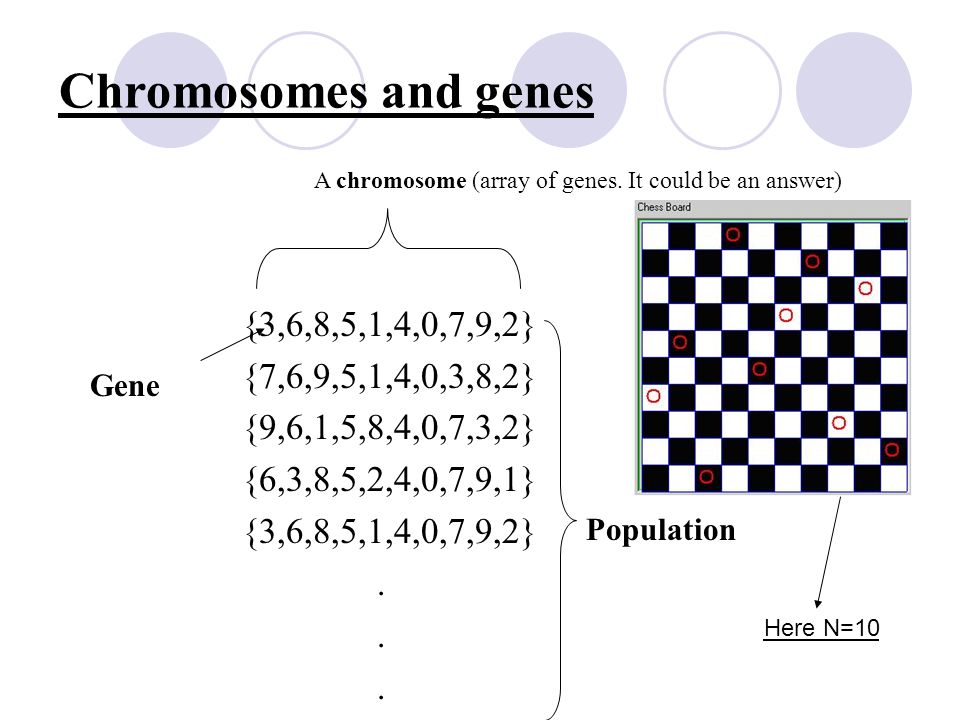 N- Queens Solution with Genetic Algorithm By Mohammad A. Ismael. - ppt  download