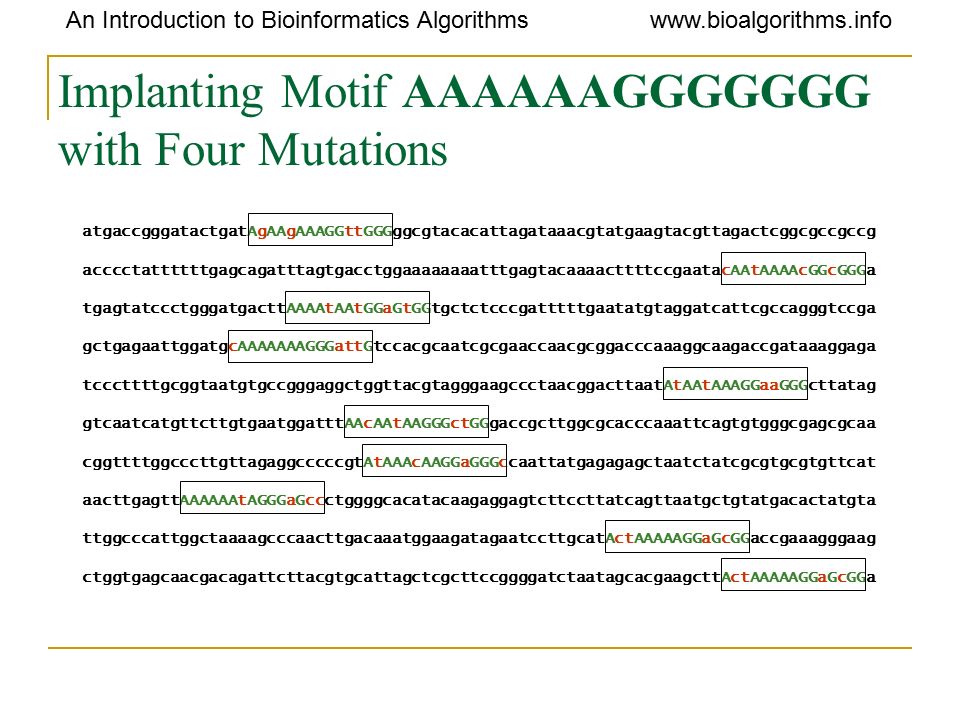 An Introduction to Bioinformatics Algorithmswww.bioalgorithms.info Implanting Motif AAAAAAGGGGGGG with Four Mutations atgaccgggatactgatAgAAgAAAGGttGGGggcgtacacattagataaacgtatgaagtacgttagactcggcgccgccg acccctattttttgagcagatttagtgacctggaaaaaaaatttgagtacaaaacttttccgaatacAAtAAAAcGGcGGGa tgagtatccctgggatgacttAAAAtAAtGGaGtGGtgctctcccgatttttgaatatgtaggatcattcgccagggtccga gctgagaattggatgcAAAAAAAGGGattGtccacgcaatcgcgaaccaacgcggacccaaaggcaagaccgataaaggaga tcccttttgcggtaatgtgccgggaggctggttacgtagggaagccctaacggacttaatAtAAtAAAGGaaGGGcttatag gtcaatcatgttcttgtgaatggatttAAcAAtAAGGGctGGgaccgcttggcgcacccaaattcagtgtgggcgagcgcaa cggttttggcccttgttagaggcccccgtAtAAAcAAGGaGGGccaattatgagagagctaatctatcgcgtgcgtgttcat aacttgagttAAAAAAtAGGGaGccctggggcacatacaagaggagtcttccttatcagttaatgctgtatgacactatgta ttggcccattggctaaaagcccaacttgacaaatggaagatagaatccttgcatActAAAAAGGaGcGGaccgaaagggaag ctggtgagcaacgacagattcttacgtgcattagctcgcttccggggatctaatagcacgaagcttActAAAAAGGaGcGGa