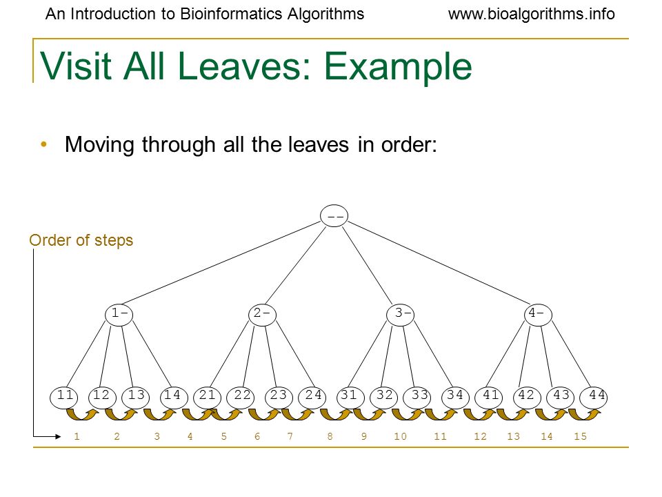 An Introduction to Bioinformatics Algorithmswww.bioalgorithms.info Visit All Leaves: Example Moving through all the leaves in order: Order of steps