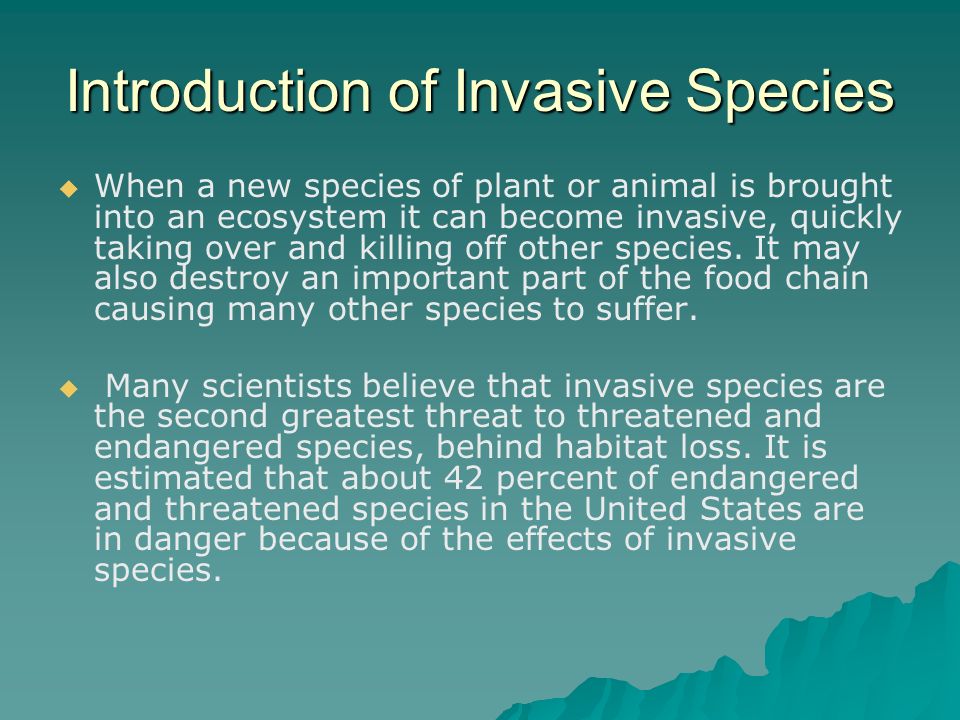 Why are so many animals endangered?. Brainstorm the possibilities… - ppt  download