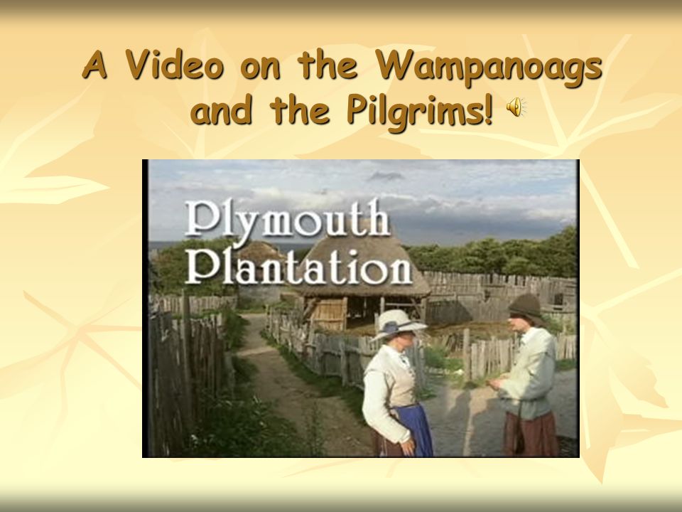 the wampanoags pilgrims barney