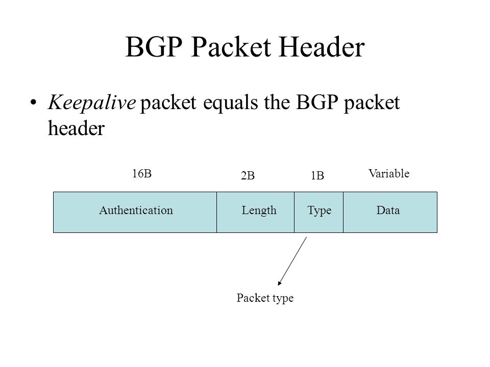 Some packet. BGP пакет. BGP Формат пакета. Заголовок BGP. Формат протокола BGP.