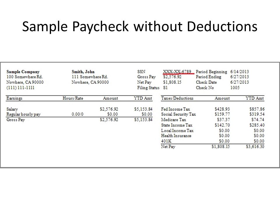 taxes understanding your paycheck economics ppt download sample paychecks